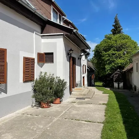 Pajtas Vendeghaz Pensionat Orvenyes