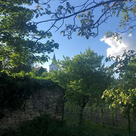 Pajtas Vendeghaz